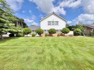 Front- click for photo gallery